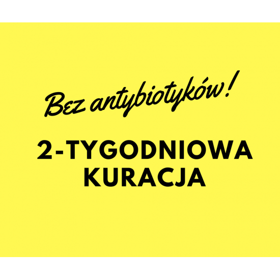 Profeed Taube - kuracja bez antybiotyków dla gołębi | Mojgolab.pl