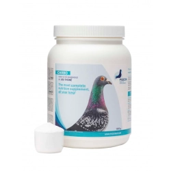 PIGEON HEALTH&PERFORMANCE CARBO 1kg