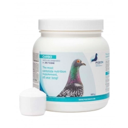 PIGEON HEALTH&PERFORMANCE CARBO 500g