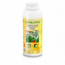 PATRON Vitalina 1l - wzmacniający koncentrat z warzyw i ziół
